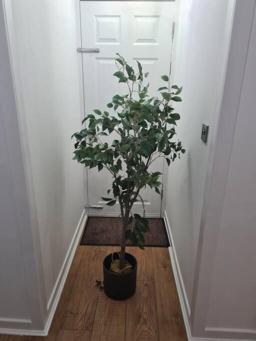 Lovely 2 Bedroom Garden Flat In Trendy West End Glasgow Exteriör bild